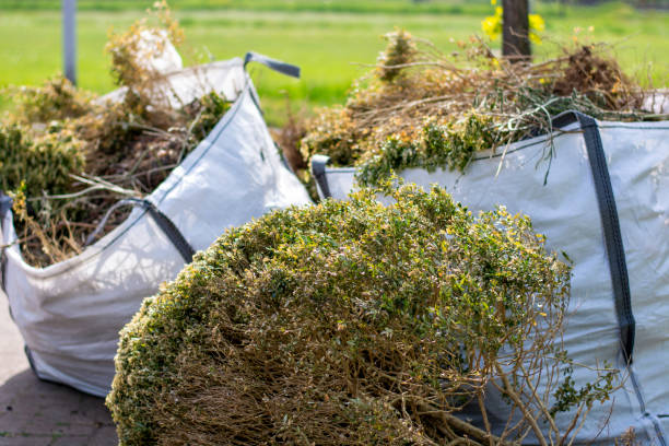 Attic Cleanout Services in Pembroke, NC